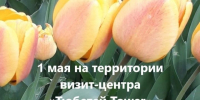 В Тетюшах состоится праздничная программа «Мир! Труд! Май!» - Газета Тетюшские зори