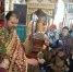 В Успенском храме поселка Волоконовка состоялся праздничный утренник-спектакль посвященный Воскресению Христову и дню памяти жен-мироносиц - Валуйская епархия