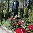 img - ЛДПР