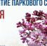 В Центральном парке культуры и отдыха откроют парковый сезон - RyazPressa.Ru