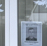 Сотрудники соцзащиты Белгородского округа присоединились к акции «Окна Победы» - Сетевое издание Знамя 31