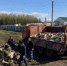 Сотрудники редакции приняли участие в заготовке дров - Мензеля