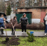 Аллея выпускников: традиция колледжа - ГБПОУ ВО ВБМК