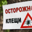 Клещи - Болотнинский музей