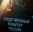 Под Нолинском конфликт между мужчиной и женщиной обернулся жестоким убийством - Prochepetsk.ru