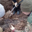Поисковая экспедиция в - ГТРК Псков