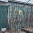 В Оренбуржье выявили более 100 незарегистрированных сортов семян - Газета Оренбуржье