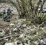 В Курске после субботников вывезли более 2 тысяч кубов мусора - Городские Известия