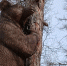В Магадане +1, -5°C, ясно - Газета Магаданская правда