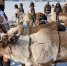 30 апреля — День коренных малочисленных народов России - Yakutia-Daily.Ru