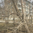 На первомайские выходные в Красноярском крае будет довольно жарко - ИА Запад24