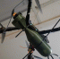 Режим опасности БПЛА объявлен в Свердловской области второй день подряд - EaNews.Ru