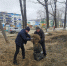 Сотрудники аппарата Постоянного судебного присутствия Поронайского городского суда в г. Макарове и судьи в отставке приняли участие в традиционном весеннем субботнике - Поронайский городской суд
