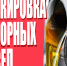 С 1 апреля 2026 года: обязательная поэкземплярная маркировка моторных масел стартовала. - Поспелихинский район