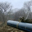 869fqaan2gsad2kjkhf5i2vtiyndj2m2.jpg - Primorye24.Ru