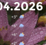 Bazaart_10A10410-E1C8-41A8-8B28-79D15E487D1E - ЗА Новомосковск