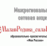 Малая родина – сила России - Библиотека для детей и молодежи
