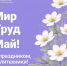 Поздравляем с 1 мая! - Лысьвенский филиал ПНИПУ