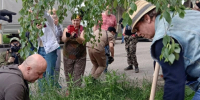 В Пензенской области подвели итоги масштабного Всероссийского субботника - Progorod58.Ru