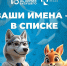 Сразу пять участников из Хакасии стали призерами олимпиады РУСАЛа «13-й элемент. АLхимия будущего» - Агентство Информационных Сообщений