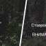Очередного онаниста встретили в одном из лесов Ставрополя - Bloknot-Stavropol.Ru