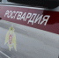 Сотрудники Росгвардии задержали мужчин, подозреваемых в краже товара из читинского магазина - Росгвардия