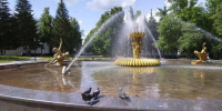 Более 1500 лениногорцев выбрали общественное пространство на благоустройство в 2027 году - Лениногорские вести