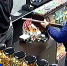 Нетрезвый покупатель устроил стрельбу в магазине в деревне Петровское - ГТРК Санкт-Петербург