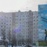 Фото: Александр Чирва/«Ямал-Медиа» - Ямал-Медиа