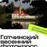 Гатчинский весенний фотокросс переносится на 17 мая - Гатчинская служба новостей