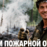 Всегда на страже и защите от огня! - Министерство лесного хозяйства