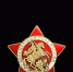 Наш «Бессмертный полк» - Россельхознадзор