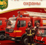 День пожарной охраны - Венгеровский район