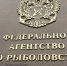 Крабовые инвестквоты принесли государству 46,6 миллиарда - SeverPost.ru