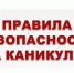 11 важных правил для безопасных каникул. - Петуховский муниципальный округ