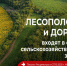 Какие земли входят в категорию сельскохозяйственного назначения. - Администрация Карачевского района