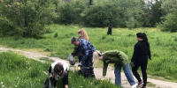 В столице Адыгеи состоялся очередной этап весеннего наведения порядка - NatPress
