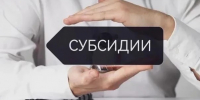 информационное сообщение о проведении ОТБОРА получателей на право получения субсидии на возмещение части затрат на развитие крестьянского (фермерского) хозяйства в 2026 году - фото - 1 - Министерство сельского хозяйства и продовольствия