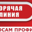 о Всероссийской горячей линии по профилактике клещевого энцефалита и инфекций, передающихся клещами - фото - 1 - Комитет по образованию