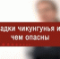 О лихорадках чукунгунья и Зика - Городской округ город Первомайск