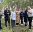 Члены Молодежного совета посадили деревья - Новотроицкий городской суд