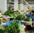Где сэкономить, а где раскошелиться: свежий обзор цен на продукты в Ставропольском крае - Bloknot-Stavropol.Ru