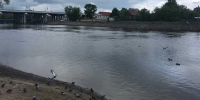 Брянская область преодолела последствия паводка - Брянская улица