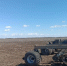 В южных районах Самарской области началась посевная кампания - ГТРК Самара