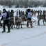 img - ЛДПР