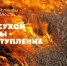 Основные правила профилактики палов травы. - Лешуконский муниципальный округ