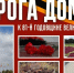 "Дорога домой": как павший боец с медалью помог найти 118 красноармейцев - ТИА