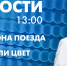 Новости Петербурга к 13:00 - tvspb.ru - ТК Санкт-Петербург