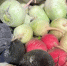 Экспорт растительной продукции белгородских производителей вырос в 2,4 раза - Сетевое издание Знамя труда-31