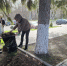 В Вадинском районе в рамках благоустройства организован санитарный день. - Вадинский район